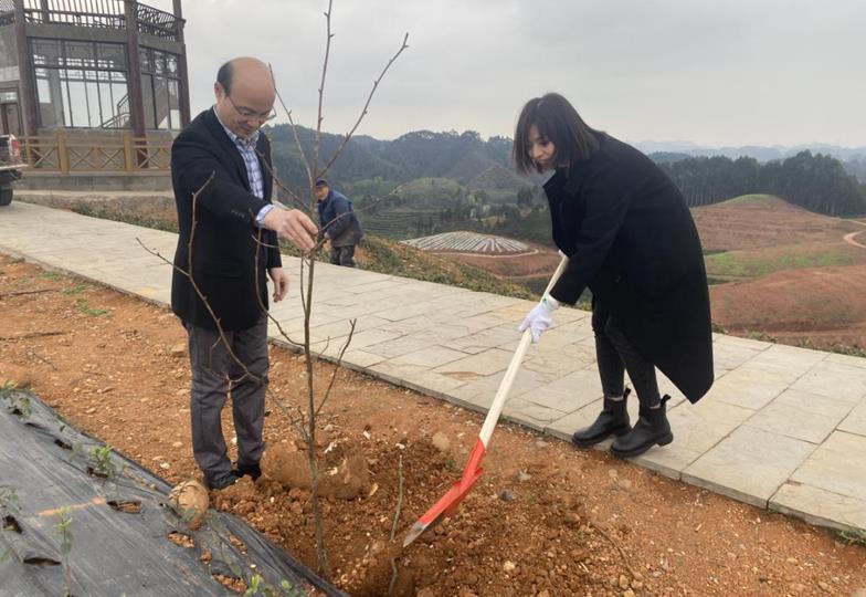 九三学社峨眉山委员会开展“同心共建、绿美乡村”植树活动(图3)