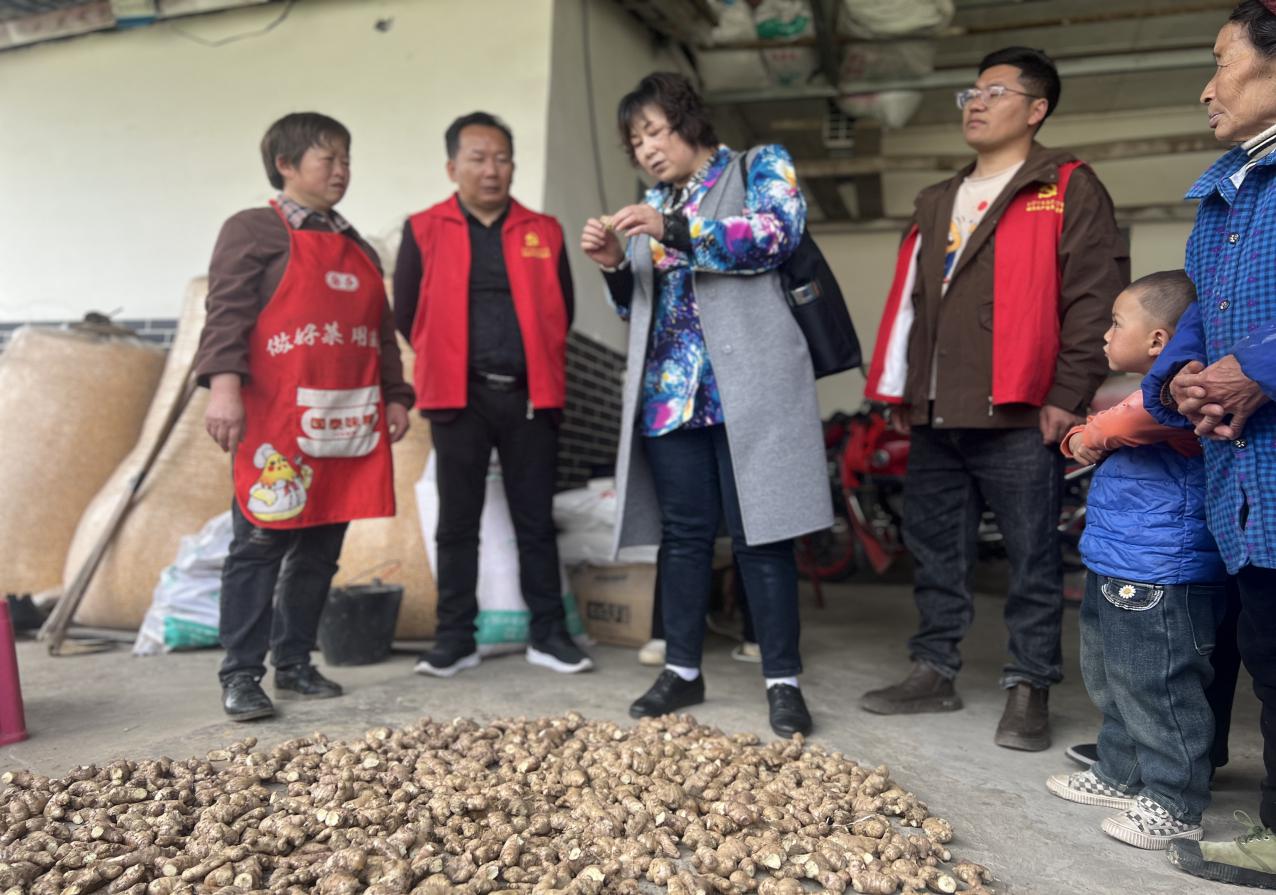 九三学社乐山市委会开展“九乐合作”科技服务助力彝区发展(图2)