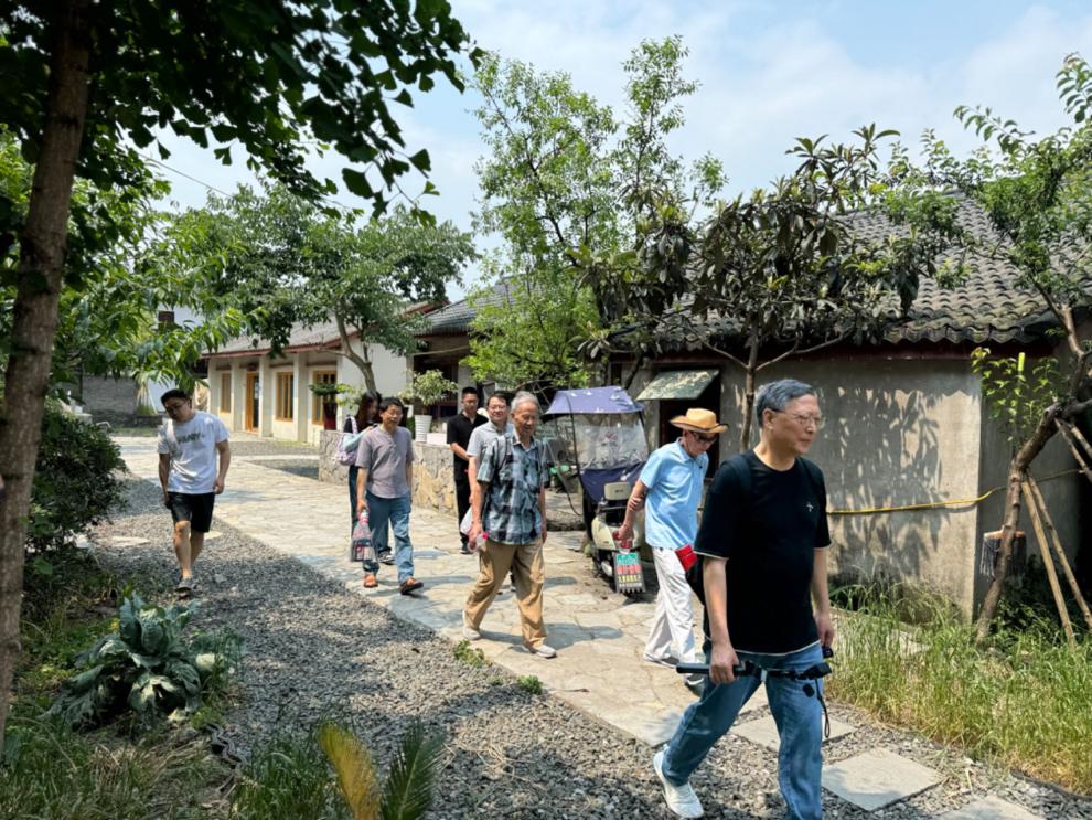 比邻共话  场镇提升(图2)