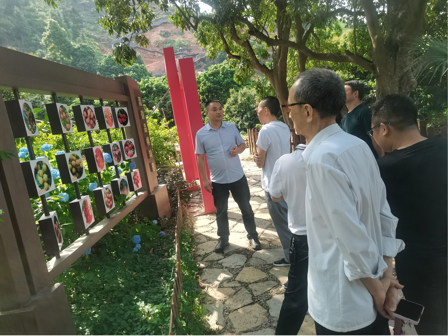 九三学社乐山市市中区支社赴荔枝湾调研文旅经济(图2)